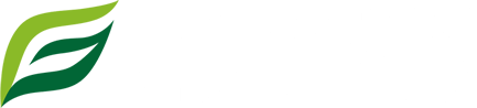 老雼烟霗