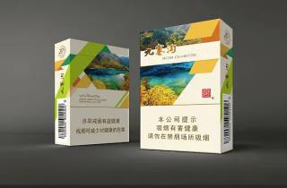 细支烟销量前十行业规范提升，独占鳌头。