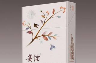 每日简报：竞品对比单向烟哪个好抽，各有千秋